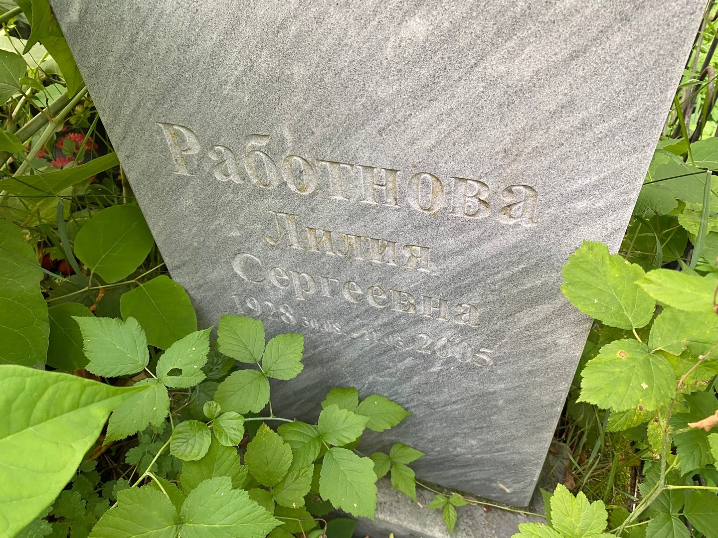 Работнова