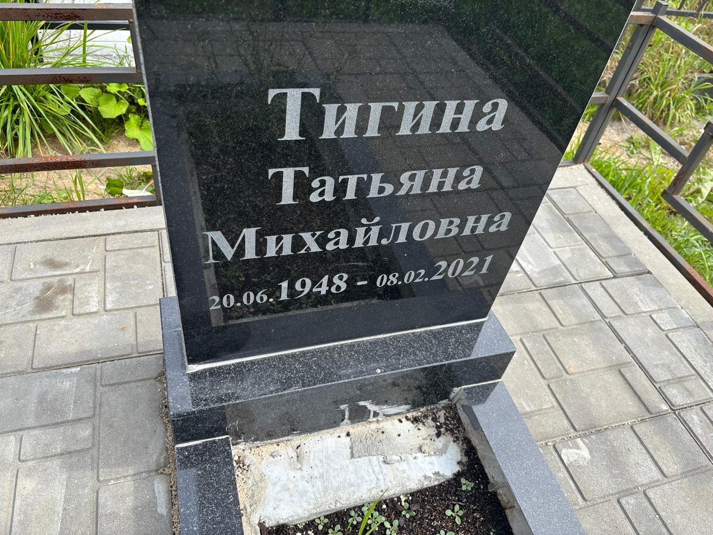 Тигина