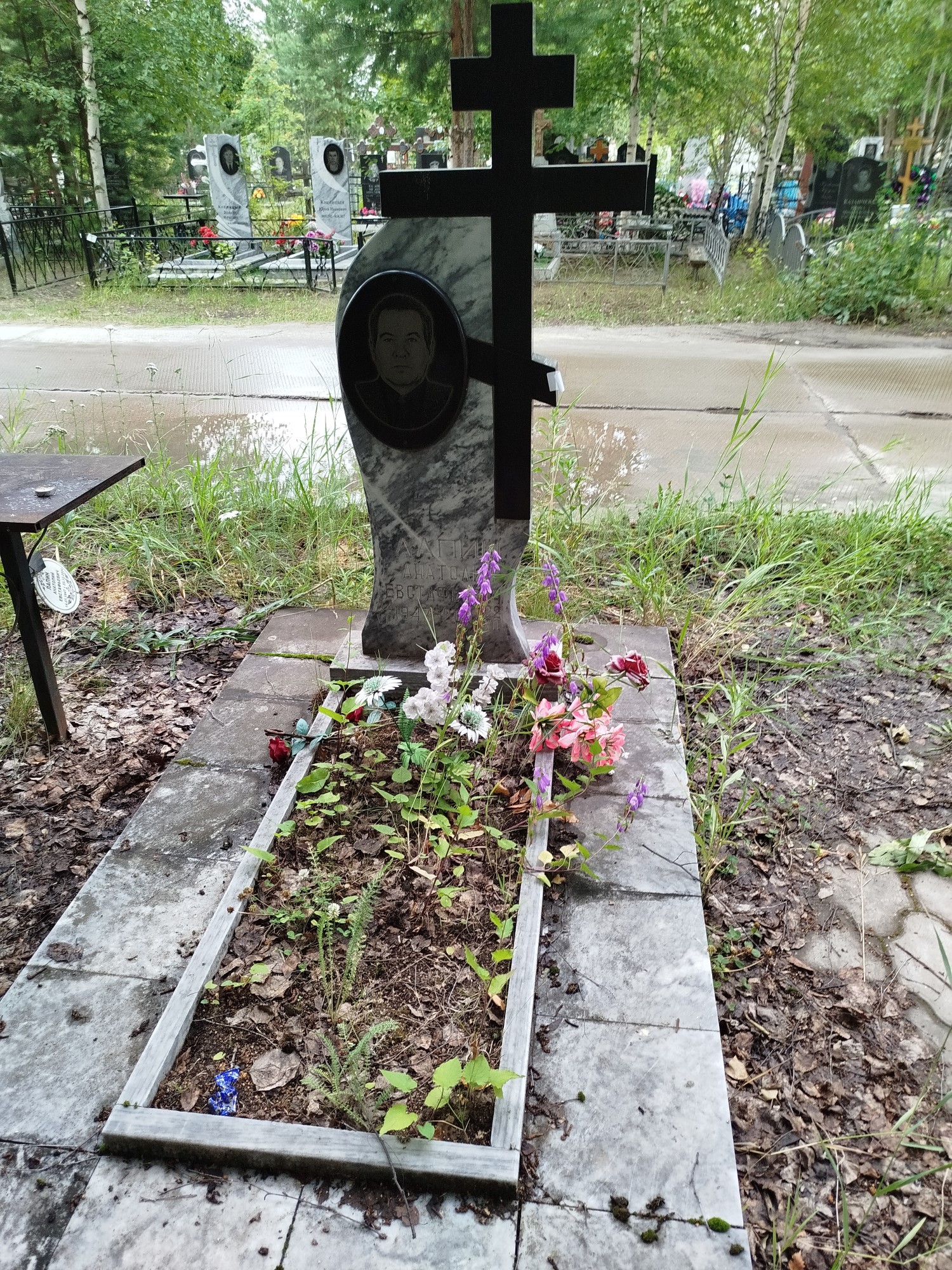 Лапин Анатолий Евстафьевич