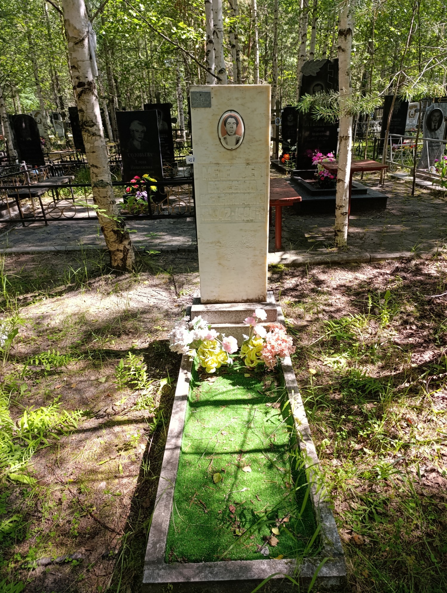 Меледичев Вячеслав Александрович