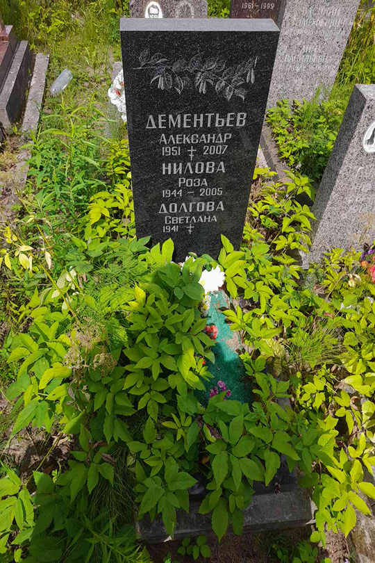Дементьев Александр