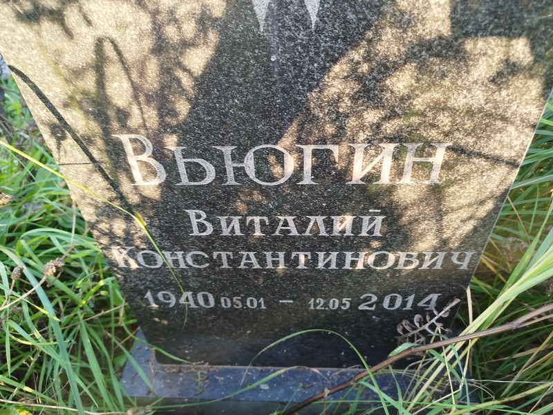 Вьюгин