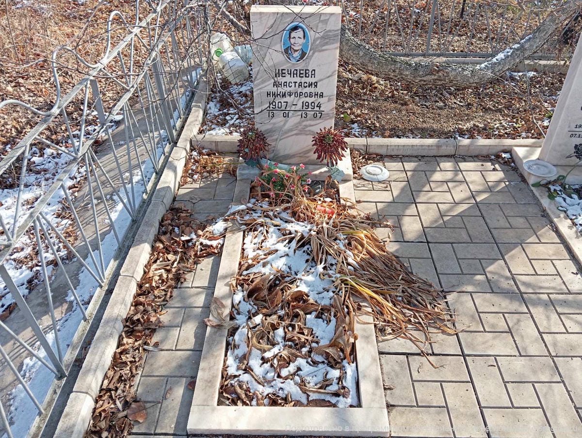 Нечаева Анастасия Никифоровна