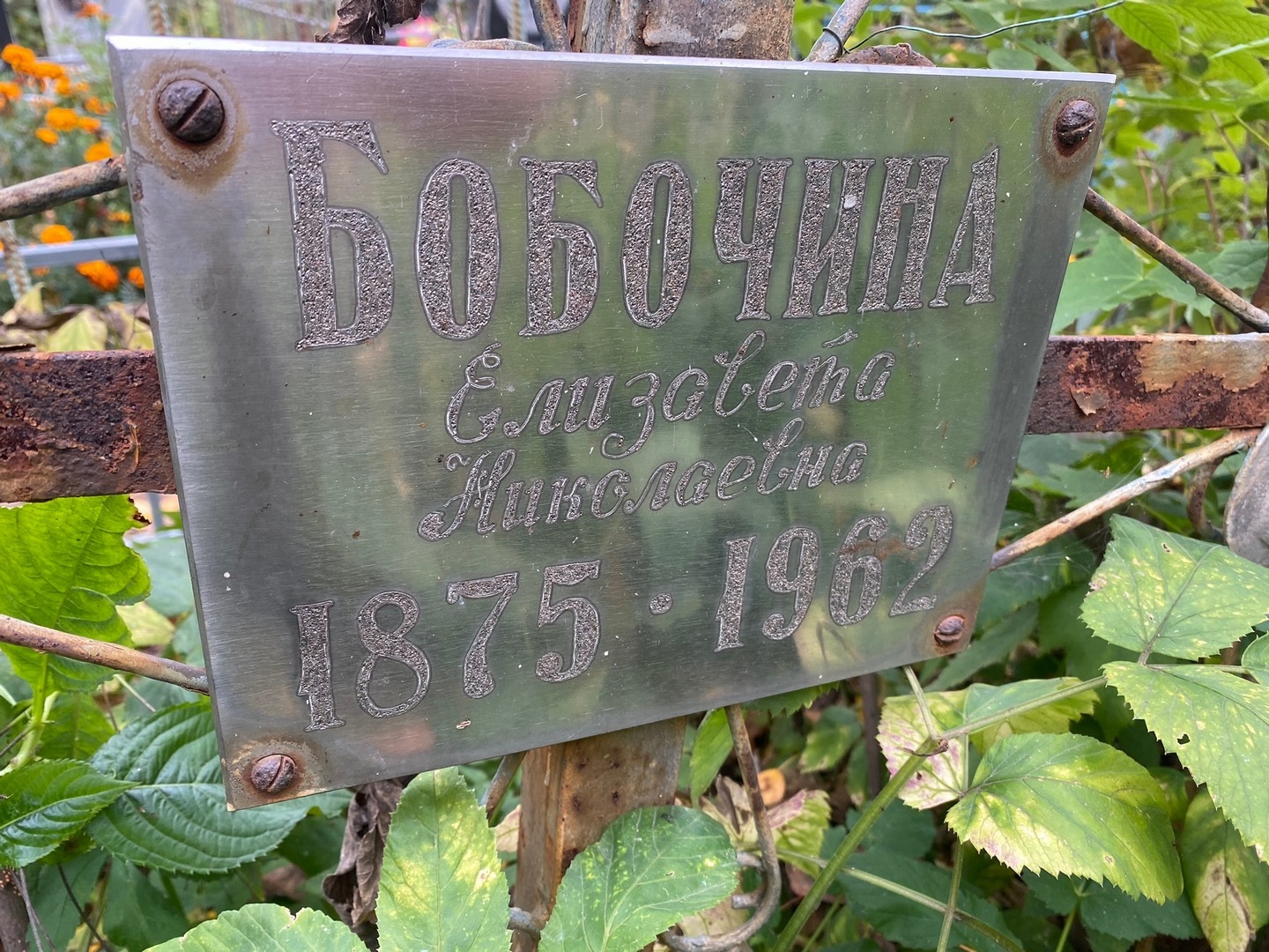 Бобочина