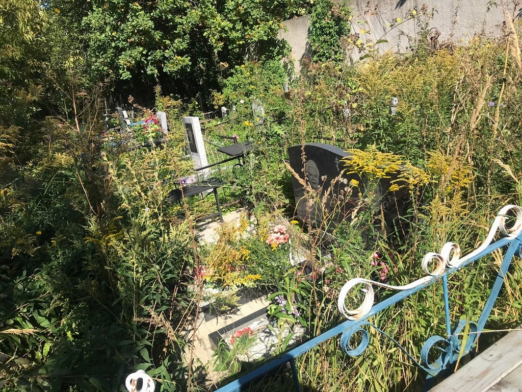 Долгий Петр Никитович