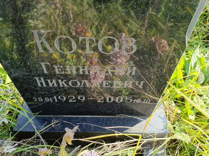 Котов