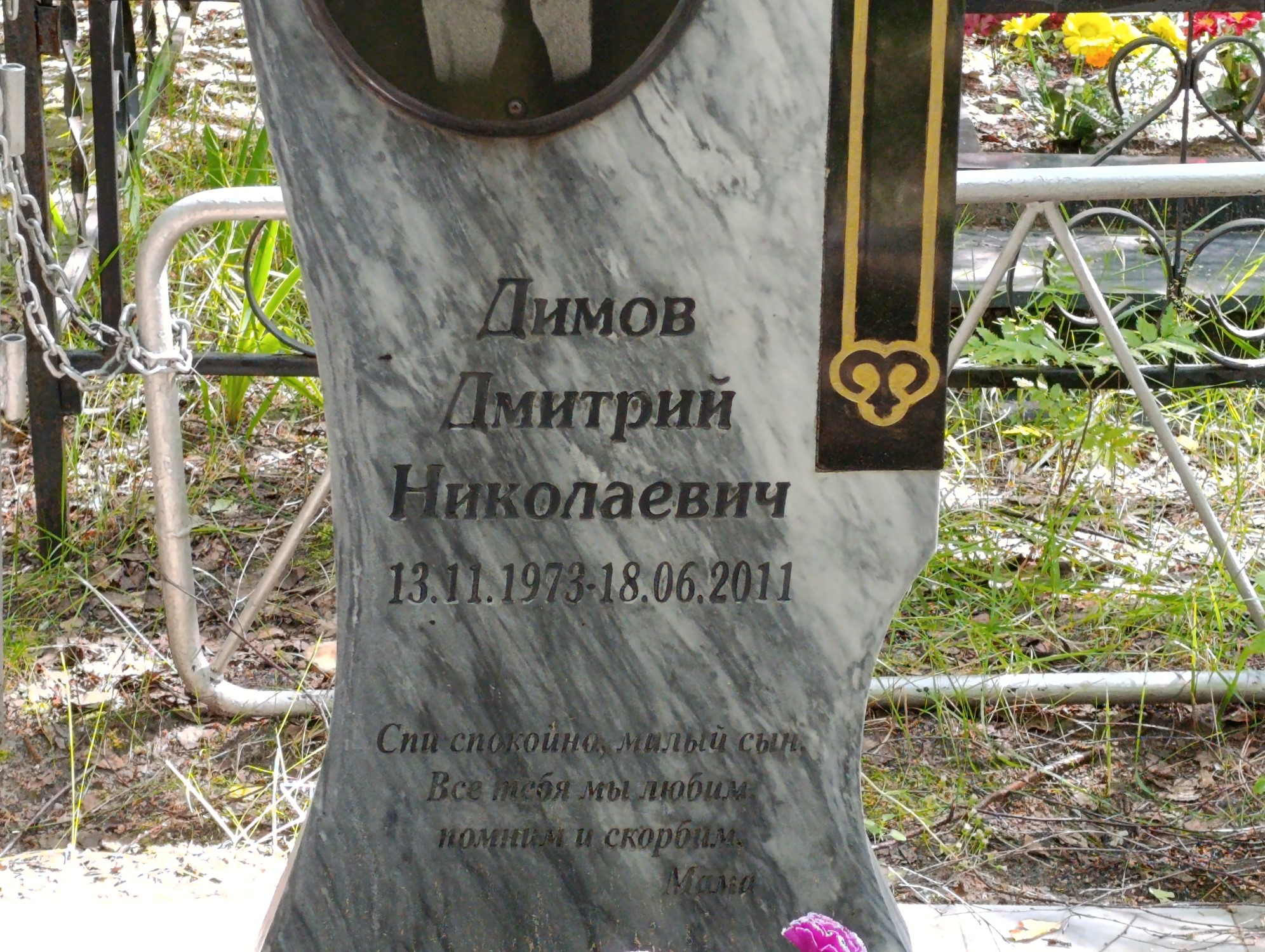 Димов Дмитрий Николаевич