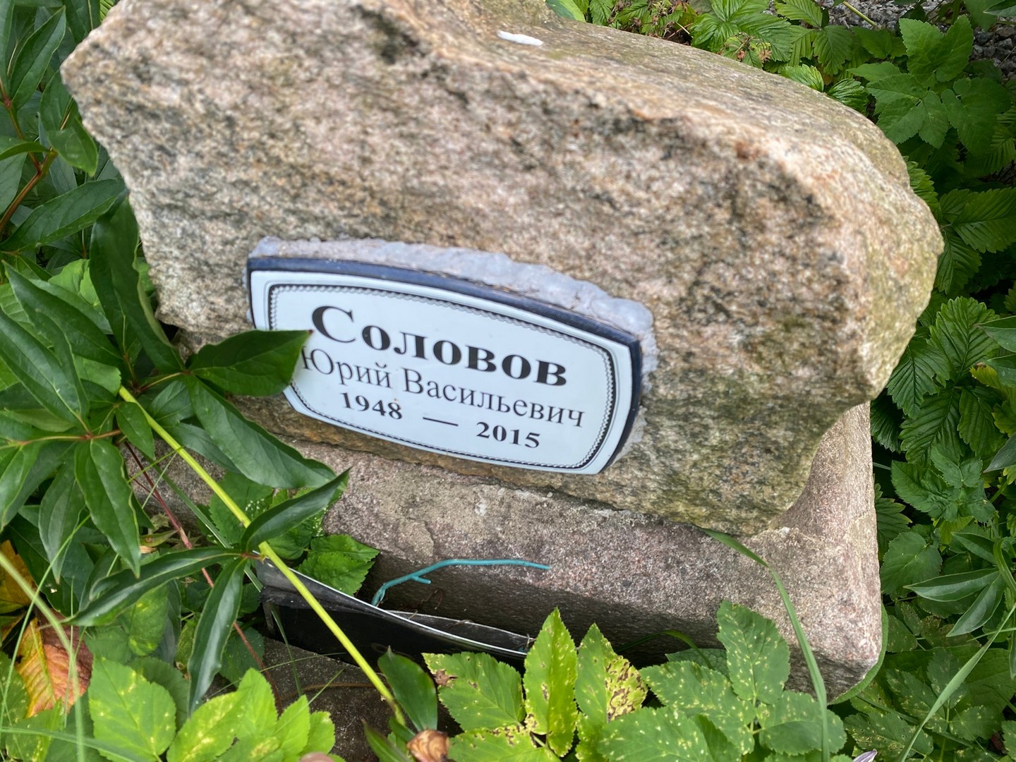 Соловов