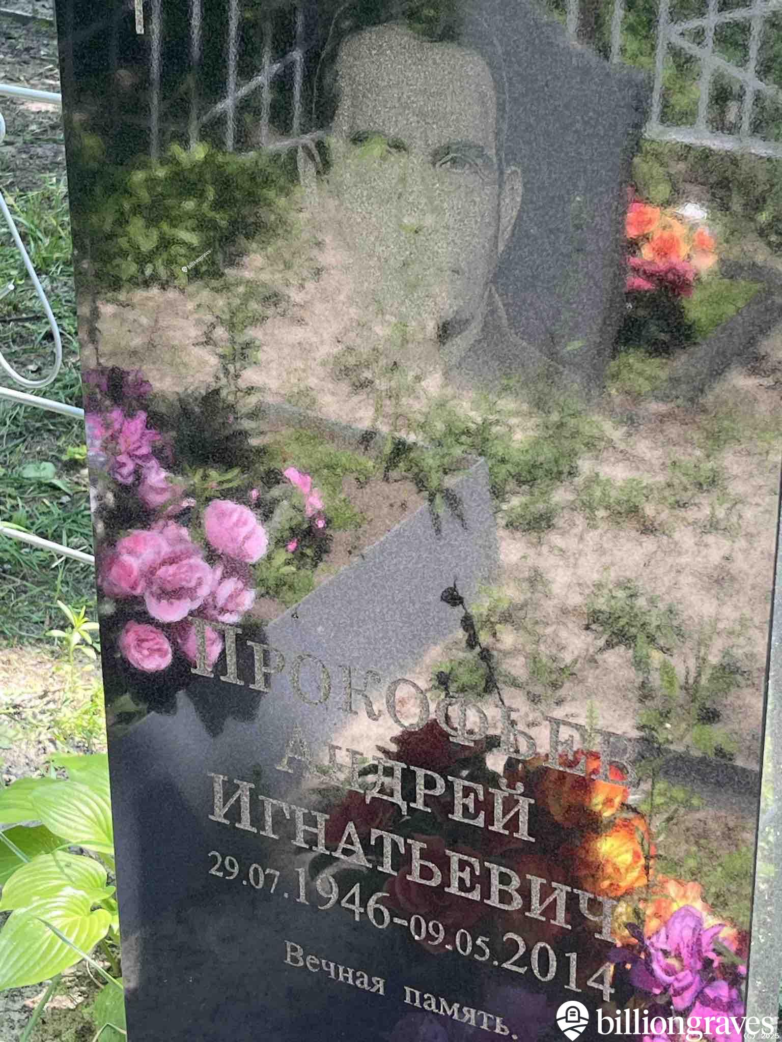 Прокофьев Андрей Игнатьевич