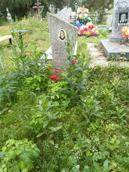 Севрюгин Александр Викторович