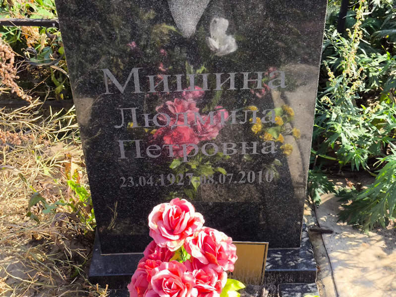 Мишина