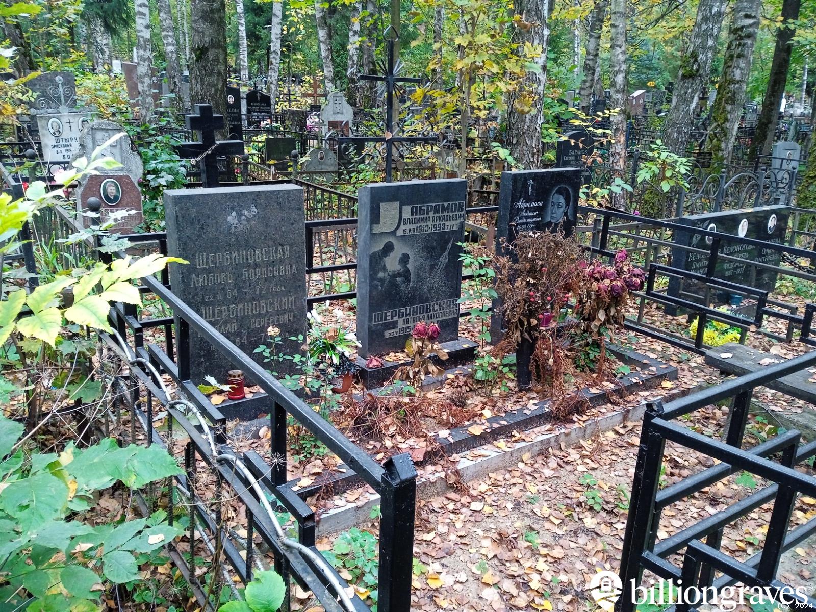 Абрамова Людмила Владимировна