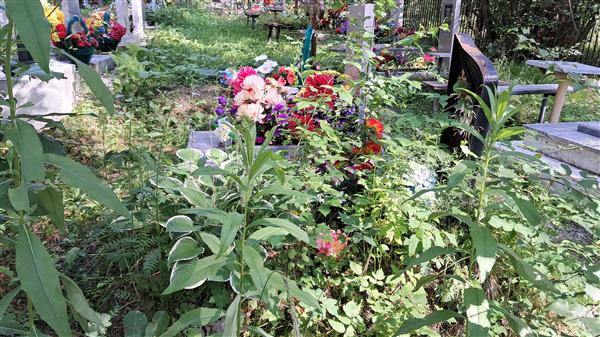 Малышев Геннадий Павлович
