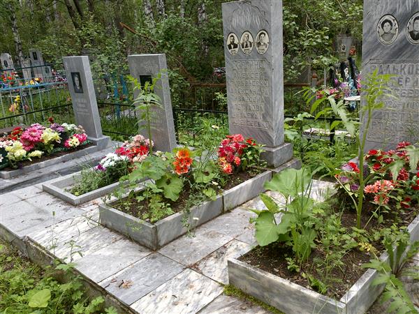 Валькова Екатерина Алексеевна