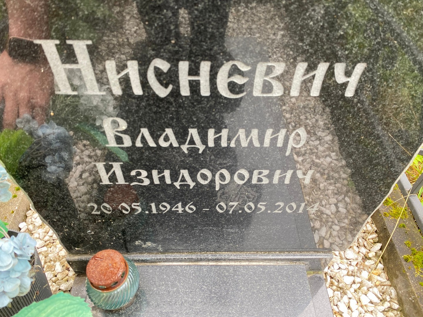 Нисневич