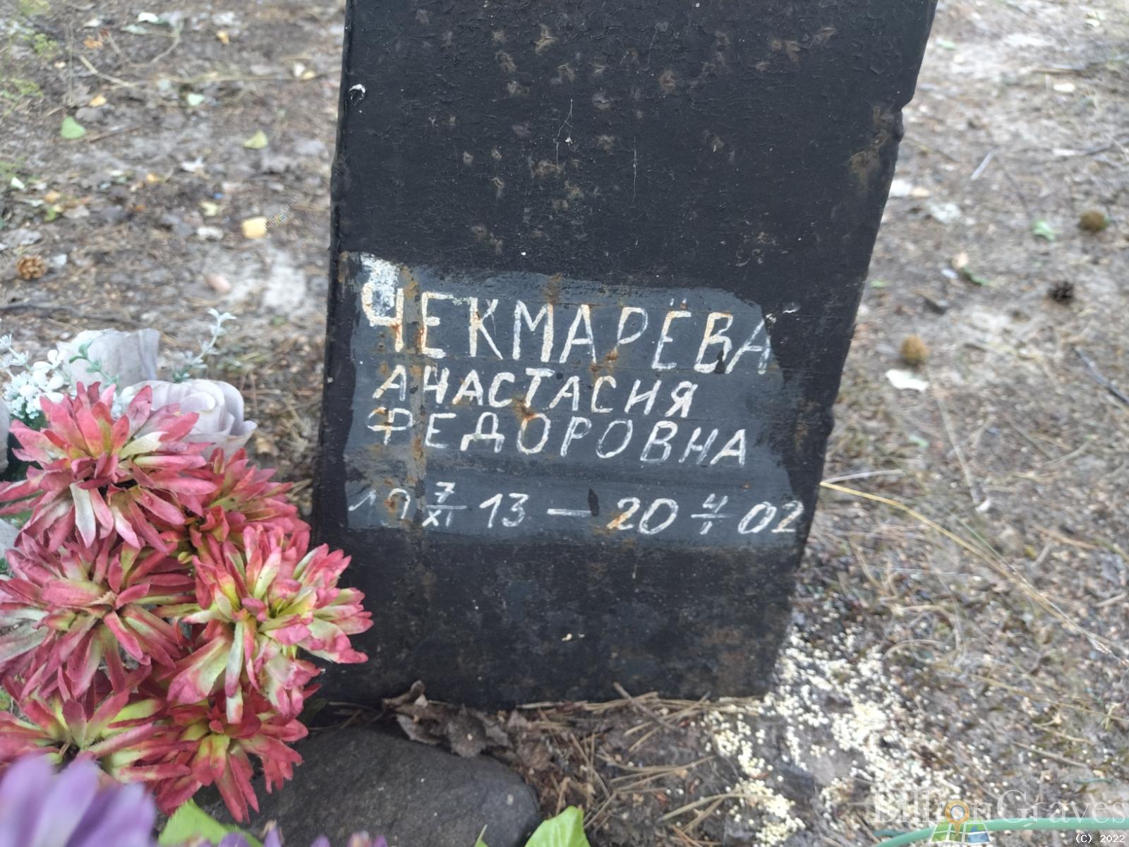 Чекмарёва Анастасия Федоровна