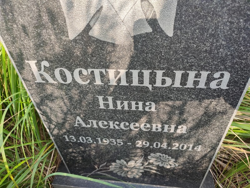 Костицына
