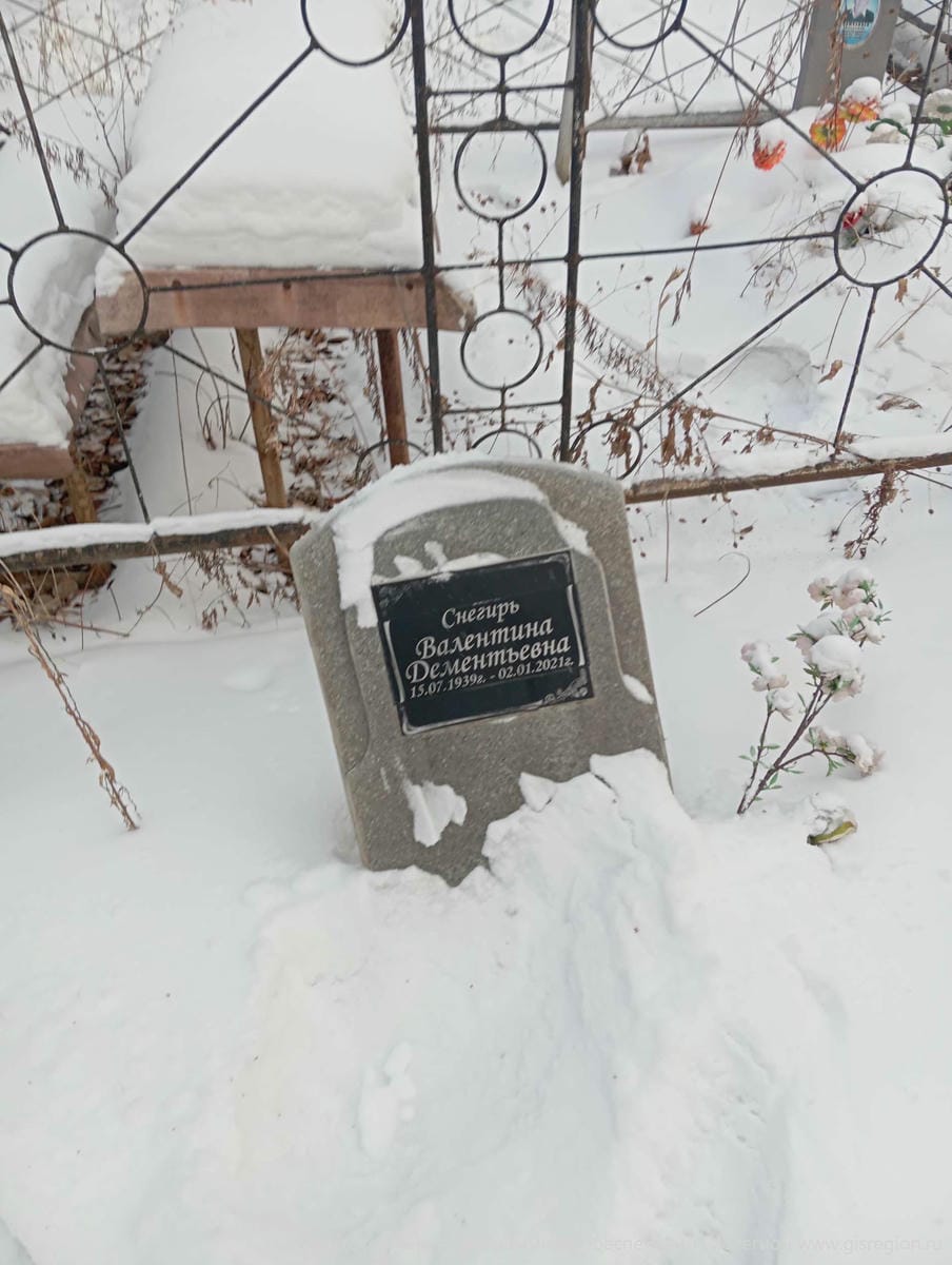 Снегтрь Валентина Дементьевна