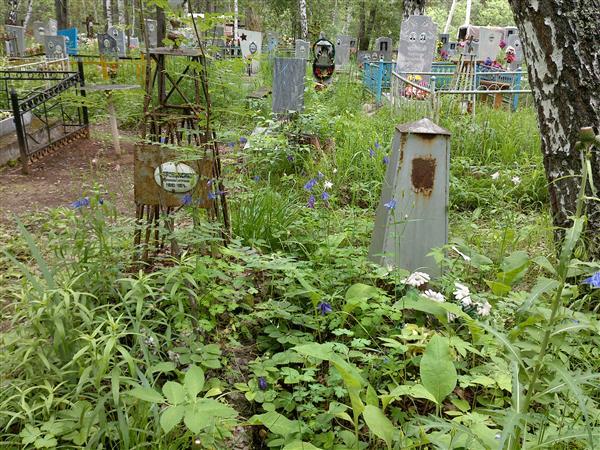 Боровинских Ефросинья Петровна