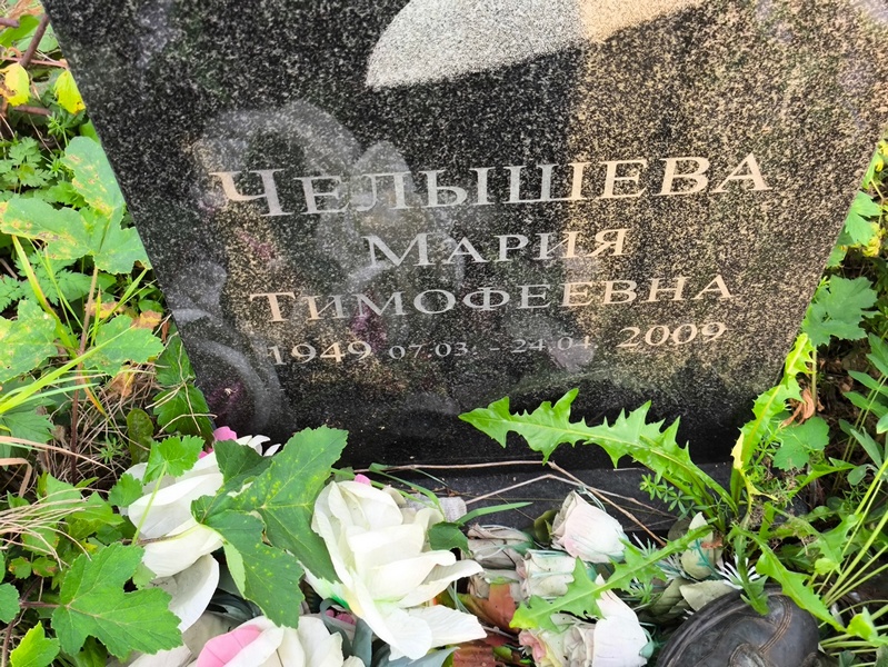 Челышева