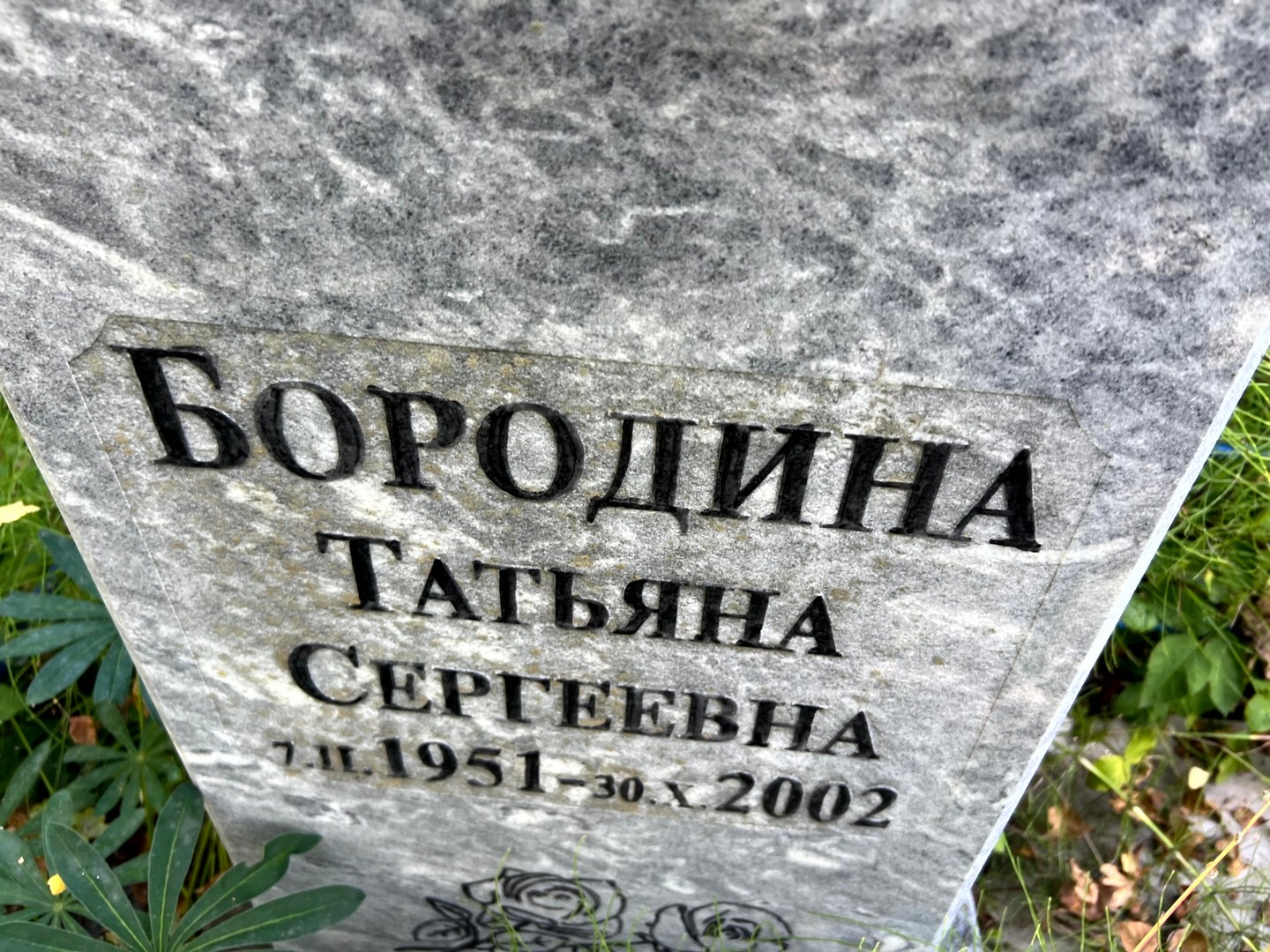 Бородина