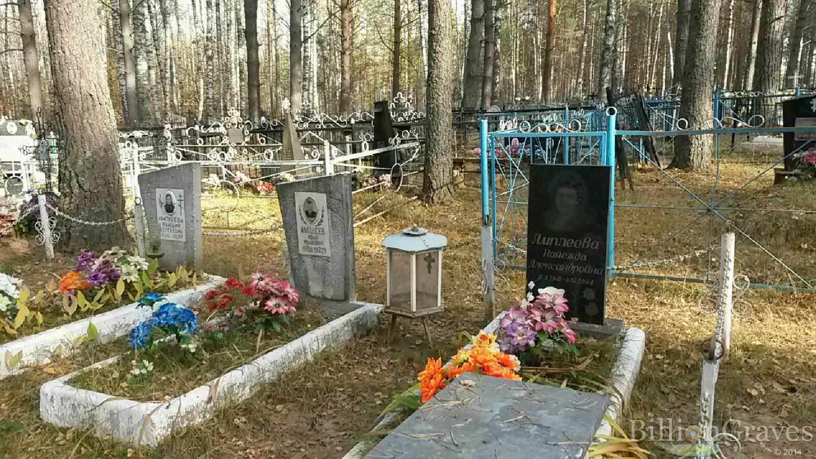 Амплеева Надежда Александровна