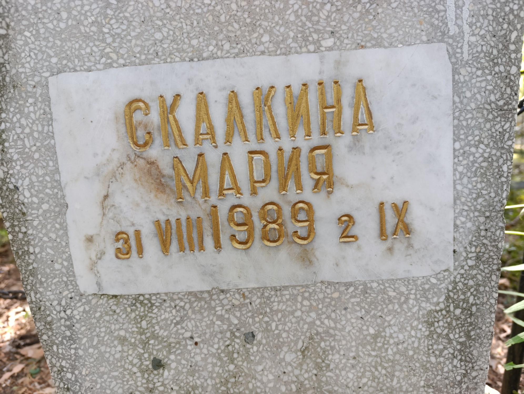 Скалкина Мария