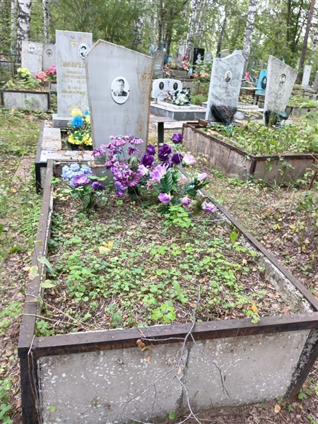 Панов Николай Григорьевич