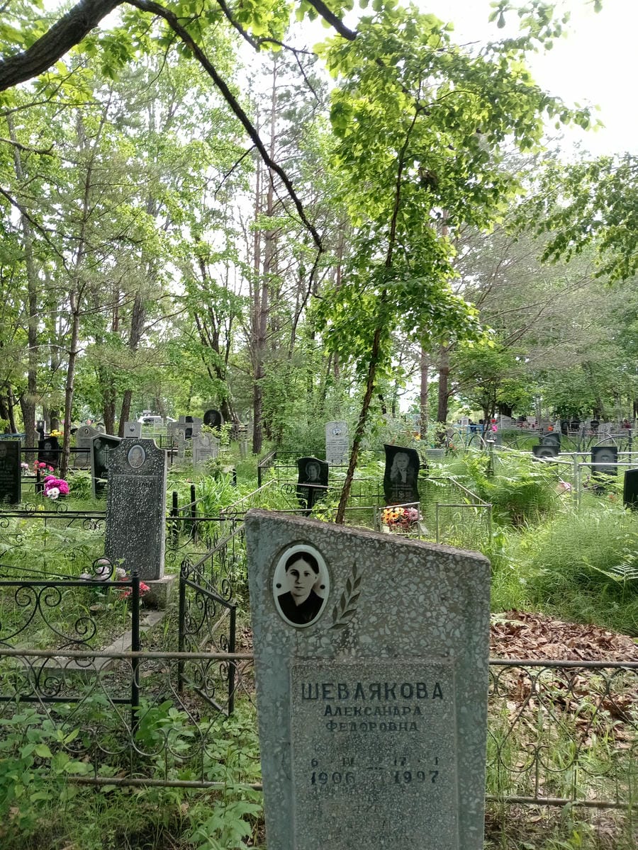 Шевлякова Александра Федоровна