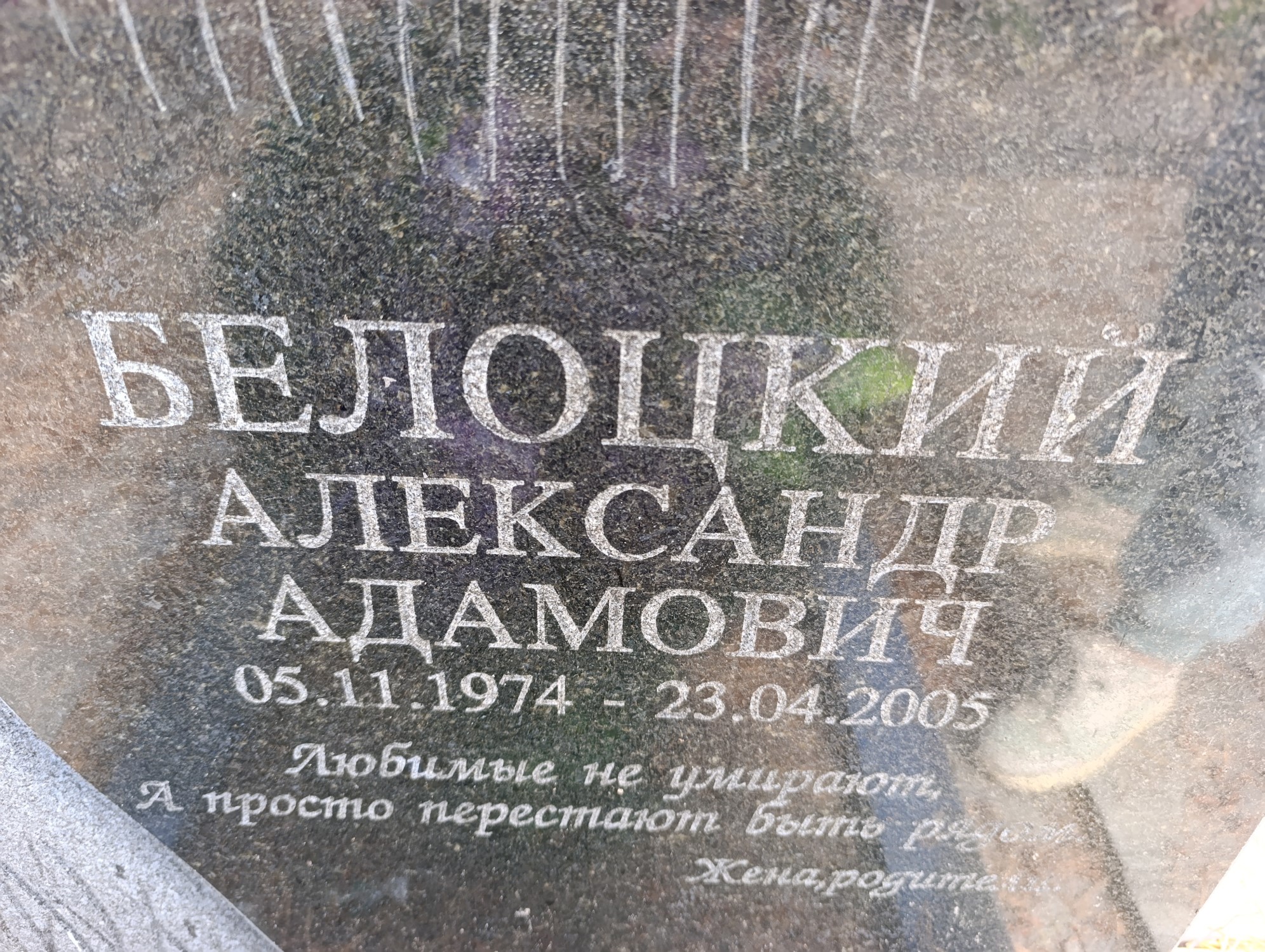 Белоцкий Александр Адамович