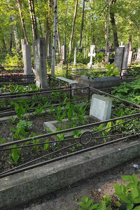 Жукова Т. Д.
