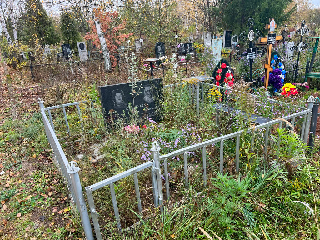 Старкова Ирина Борисовна