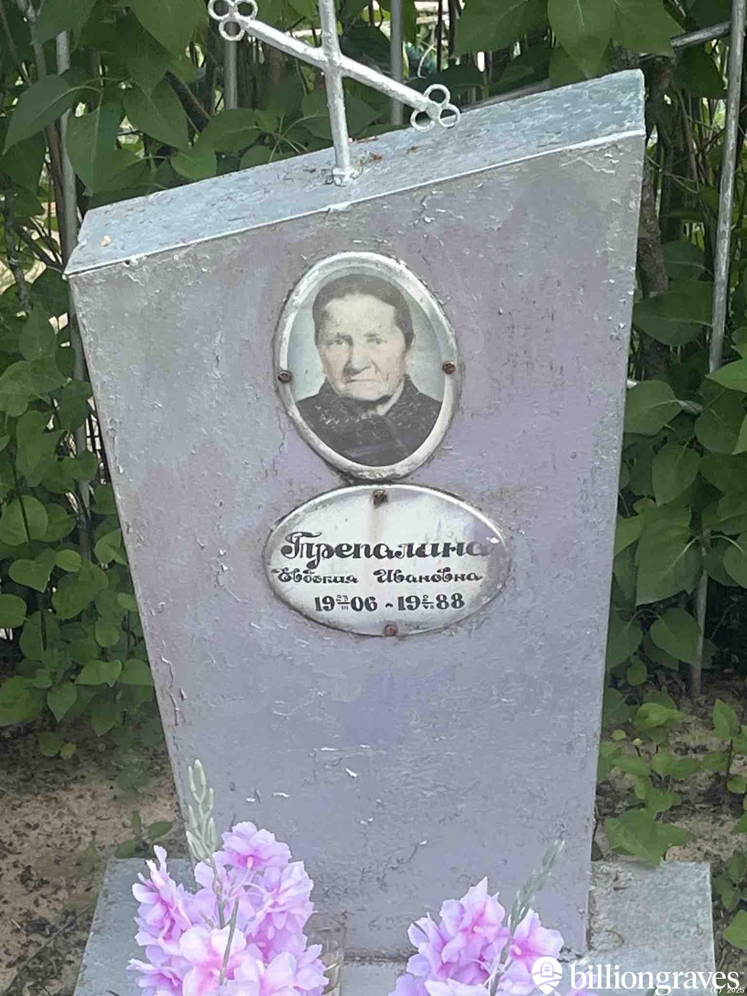 Трепалина Евдокия Ивановна