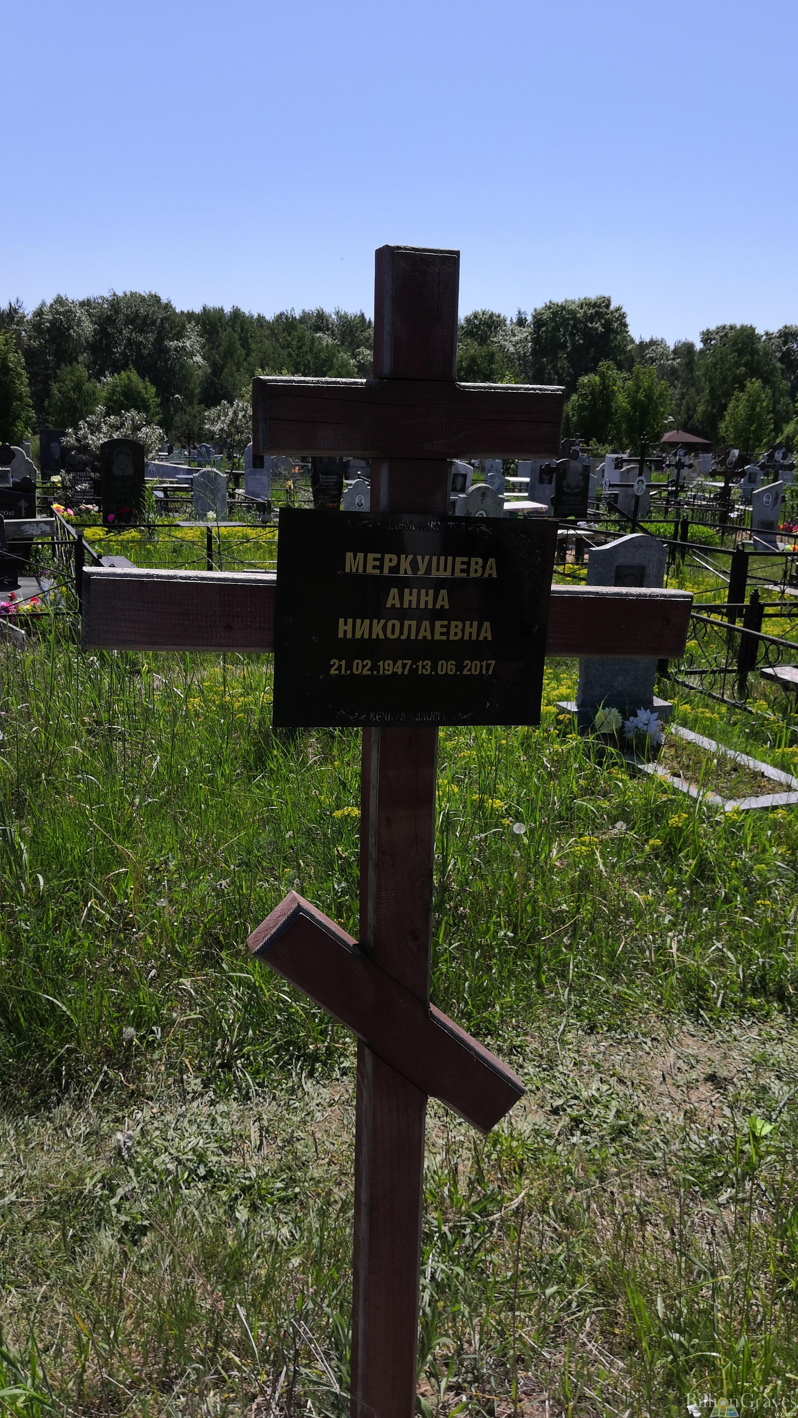 Меркушева Анна Николаевна