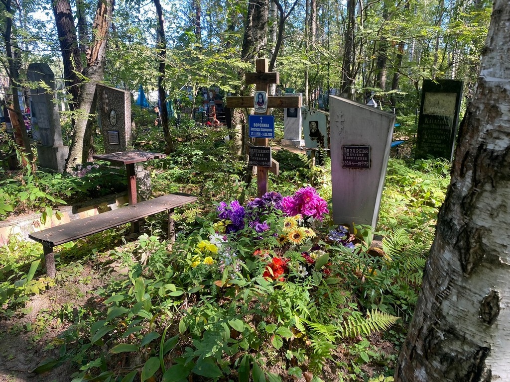 Воронина Александра Владимировна
