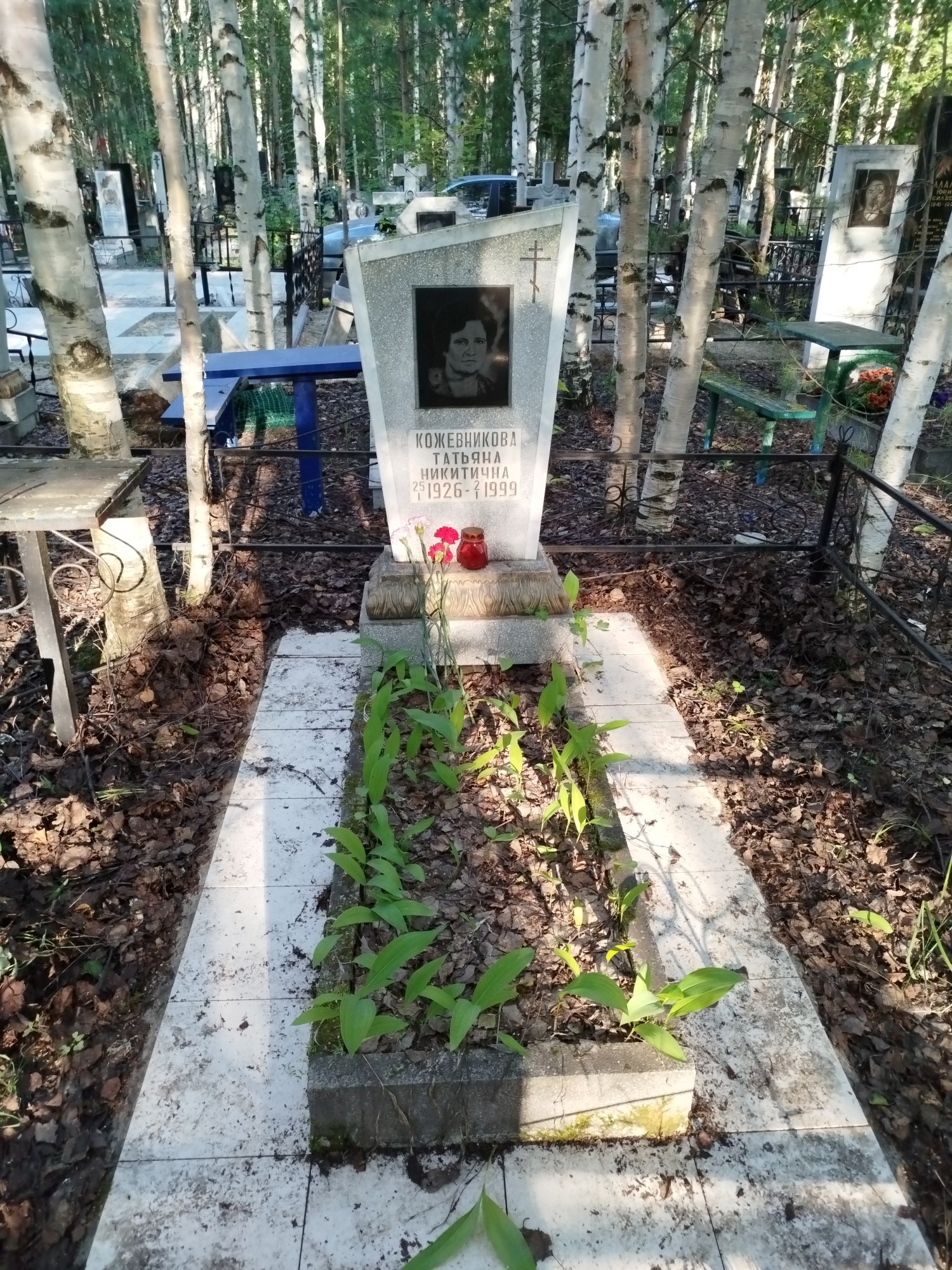 Кожевникова Татьяна Никитична