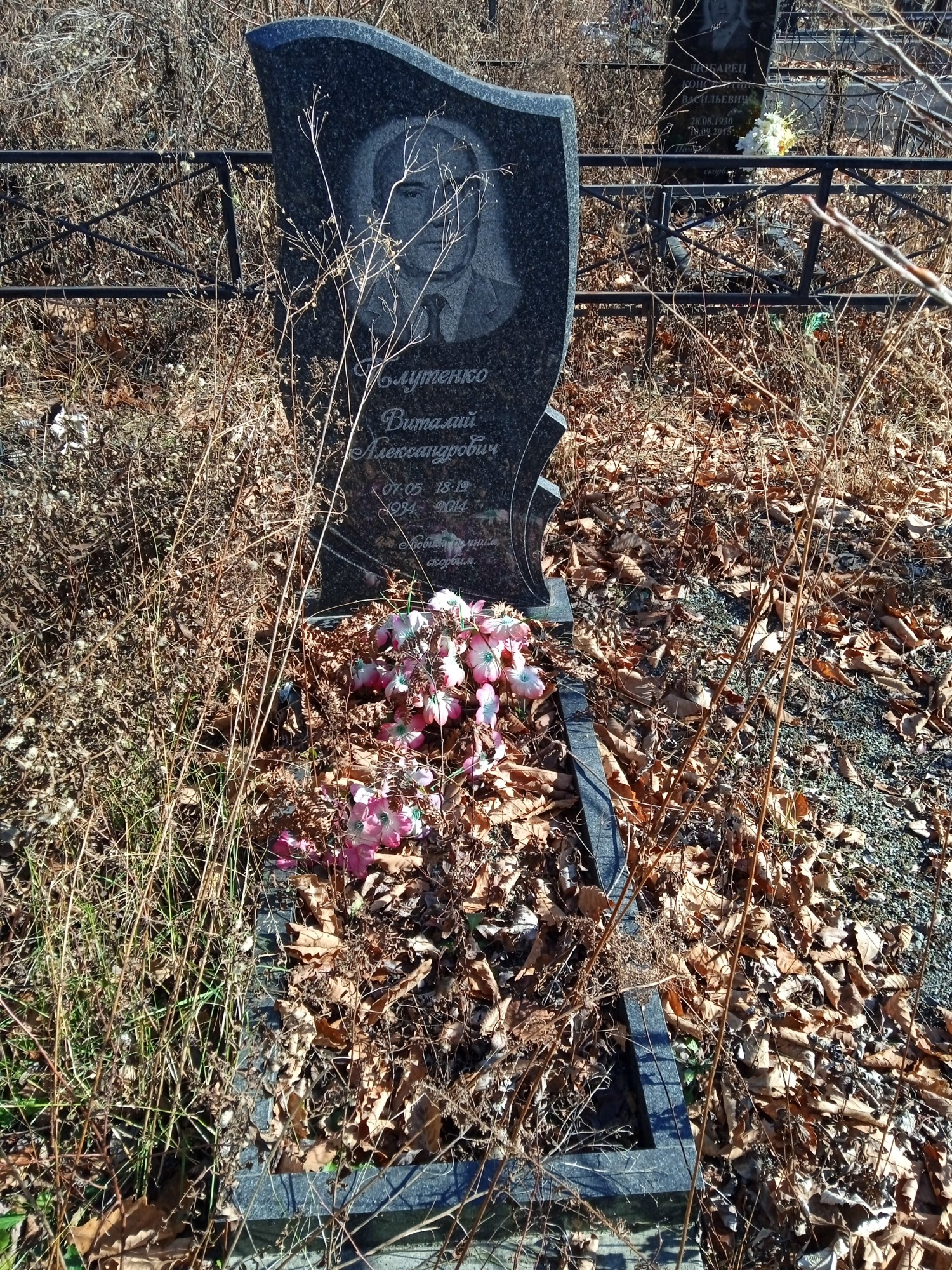 Плутенко Виталий Александрович