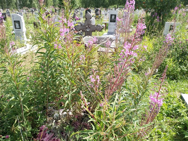 Соловьёв Александр Викторович