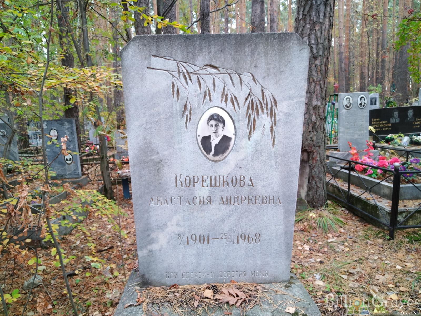 Корешкова Анастасия Андреевна