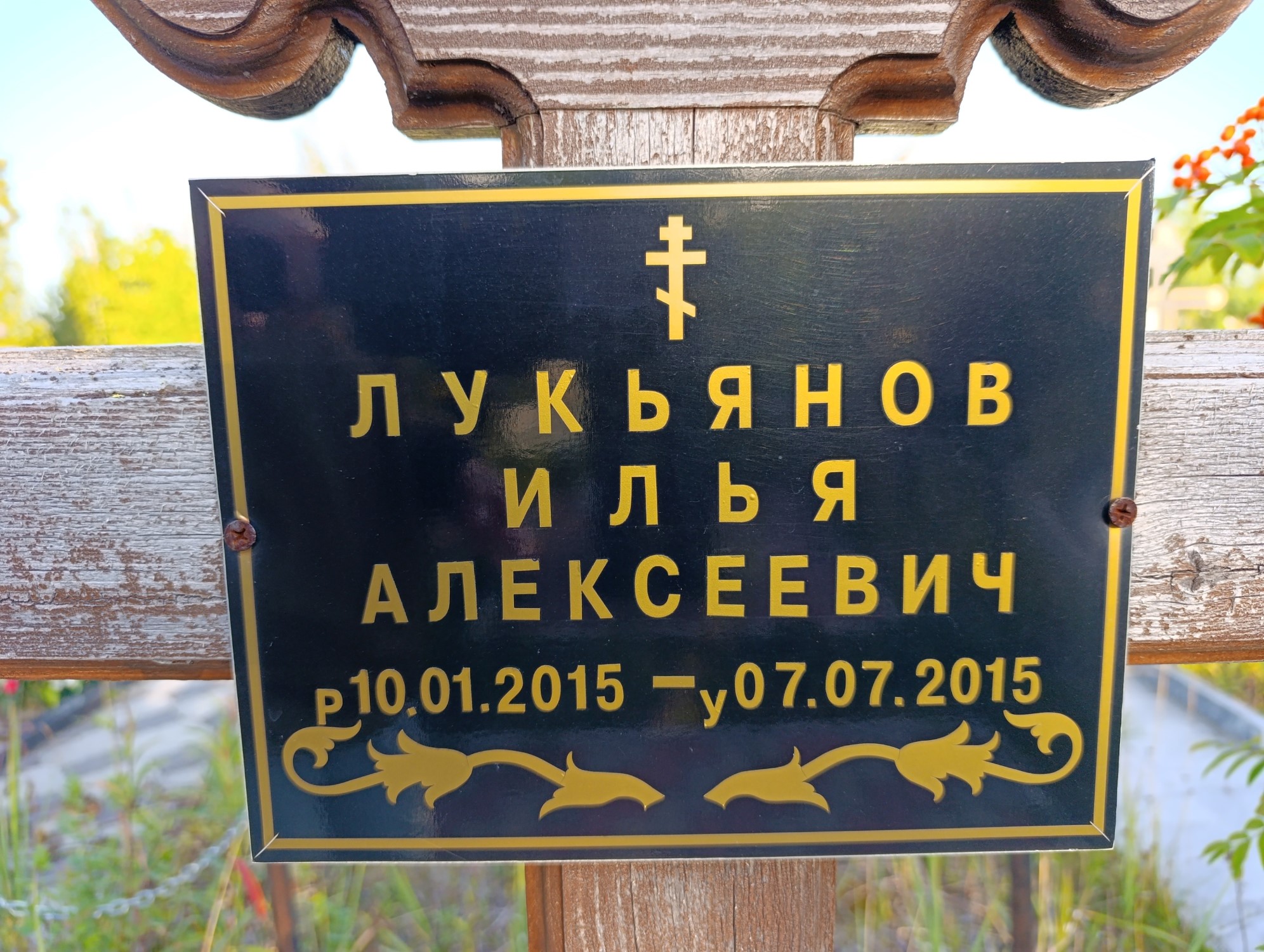 Лукьянов Илья Алексеевич
