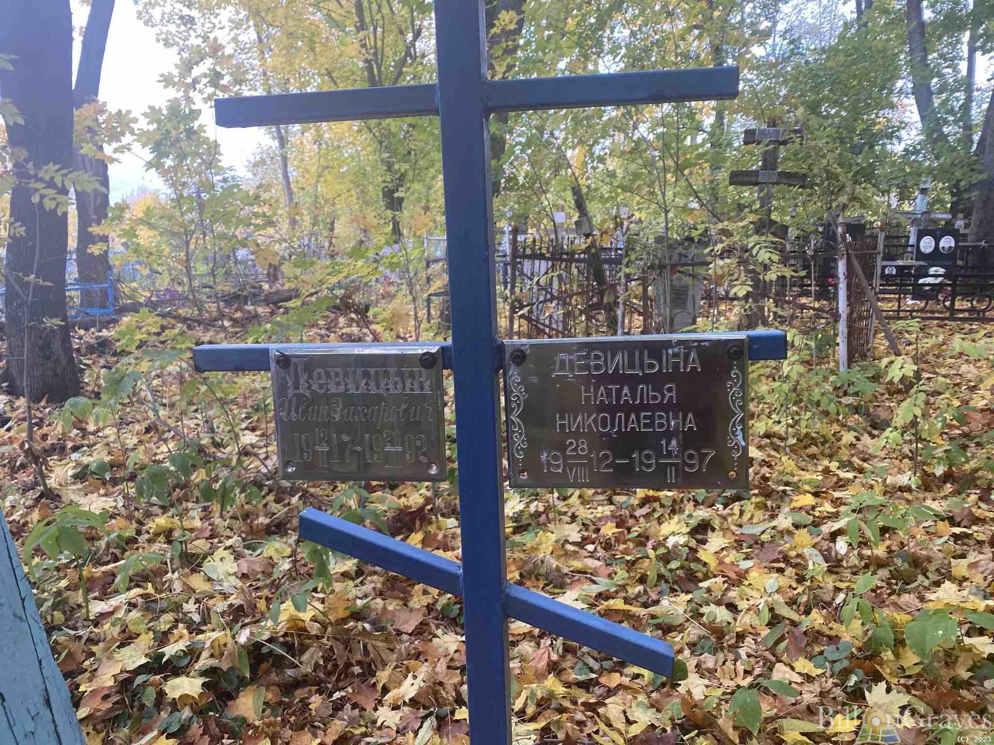 Девицына Наталья Николаевна