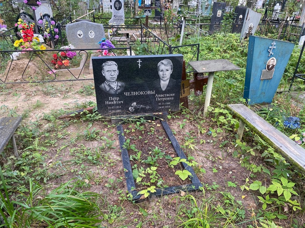 Челнокова Анастасия Петровна