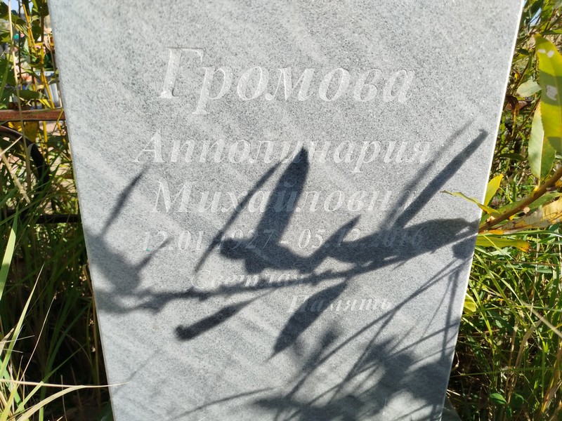Апполинария Громова Михайловна