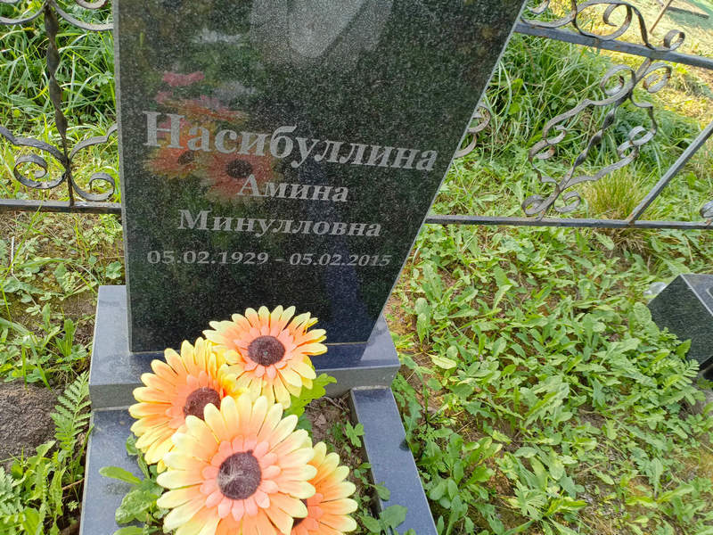 Амина Насибуллина Минулловна