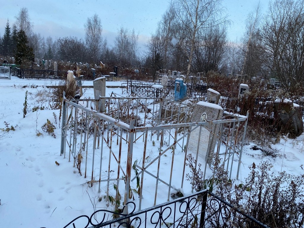 Васева-Багина Антонина Николаевна