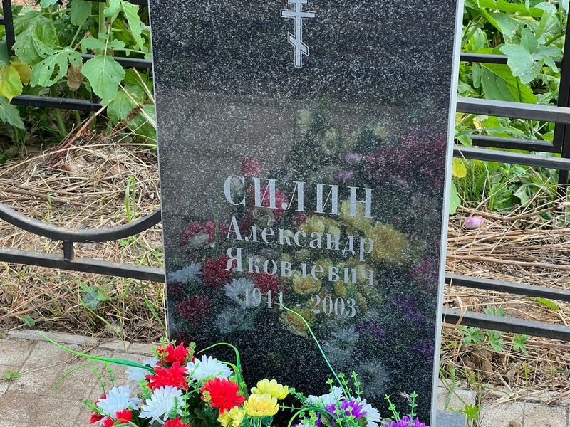 Силин
