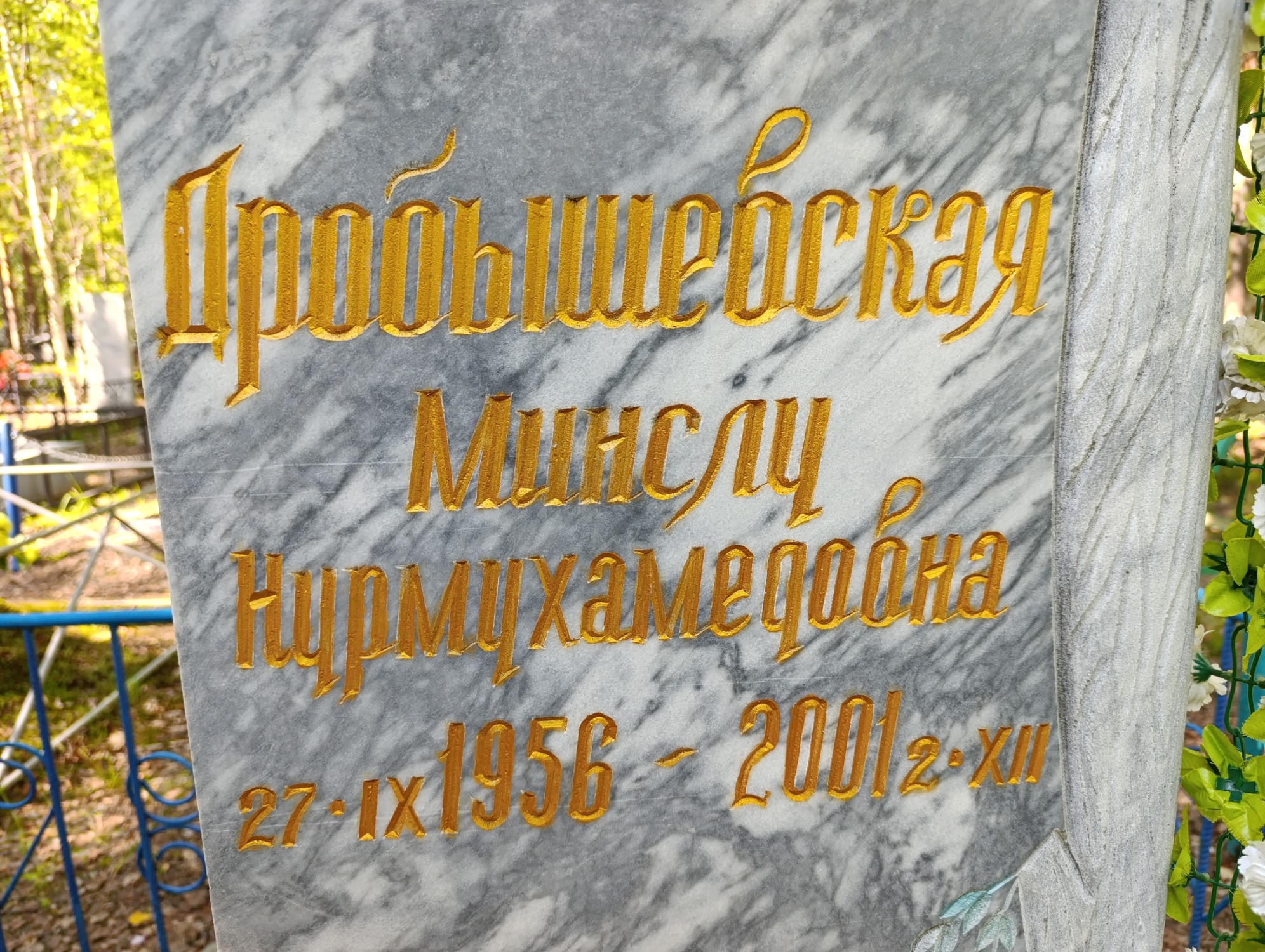 Дробышевская Минслу Нурмухамедовна