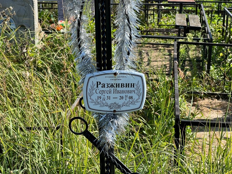 Разживин