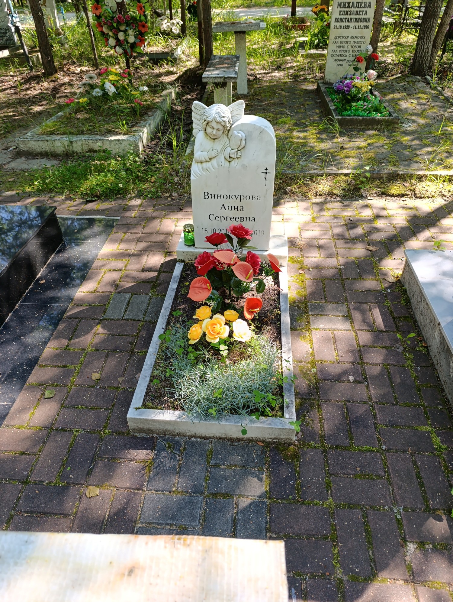 Винокурова Анна Сергеевна