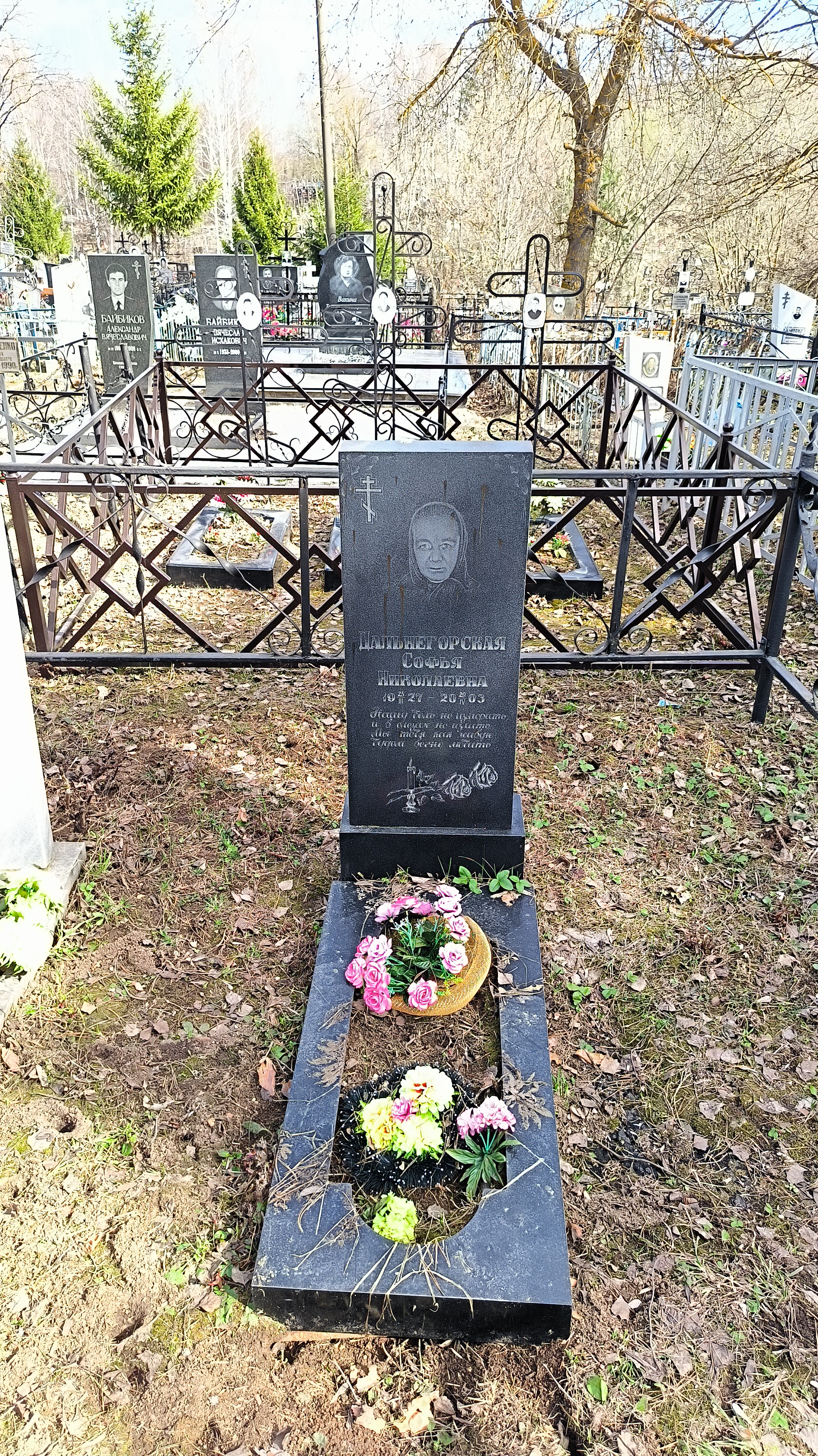 Дальнегорская Софья Николаевна